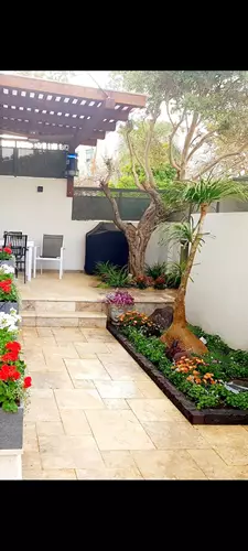 תכנון והקמת גינה בבית פרטי 8